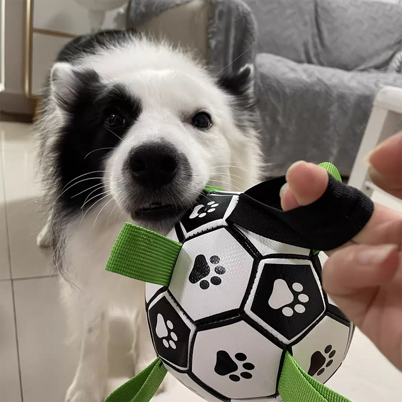 Bola de futebol para Cachorro